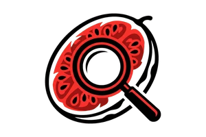 黑料网每日爆料 - 吃瓜社Logo